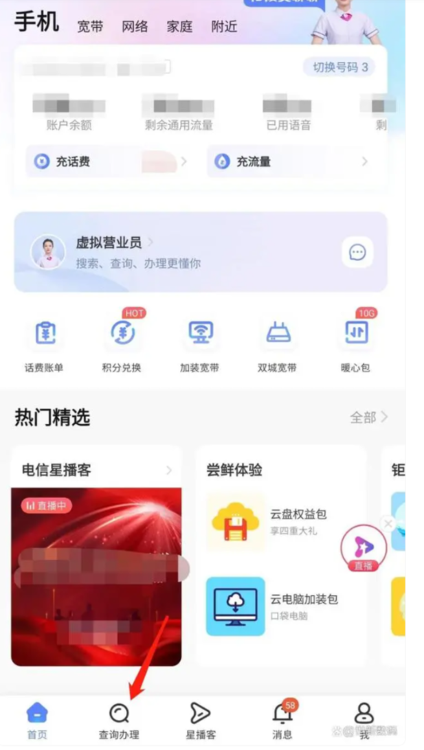 查询办理